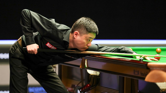 乐见这种N 乐见这种N