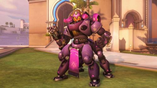 的职业巡回 的职业巡回