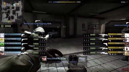 二三拍强度 二三拍强度